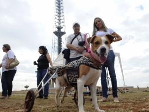 Objetivo do evento é abolir os maus tratos contra 