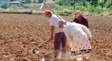 A Agricultura Familiar é o futuro do homem do campo