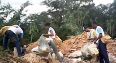 A equipe da Dengue colhe material onde o mosquito pode se procriar