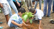 A solenidade terminou com as crianças plantando árvores no horto florestal.