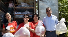 Os peixes vieram em um caminhão fechado e dentro de sacos plásticos