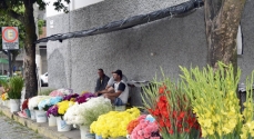Floristas já ocupam o espaço ao redor do cemitério 