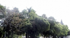 Praça Coronel Luiz Coutinho, centro de Guiricema