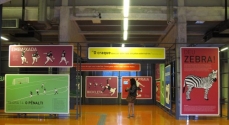 O Museu do Futebol fica no Estádio Pacaembu, em São Paulo