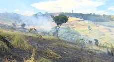 As queimadas trazem graves prejuízos e podem provocar mortes