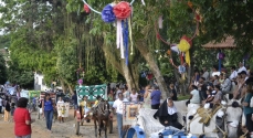 A Festa das Charretes já é um evento turístico de Piacatuba