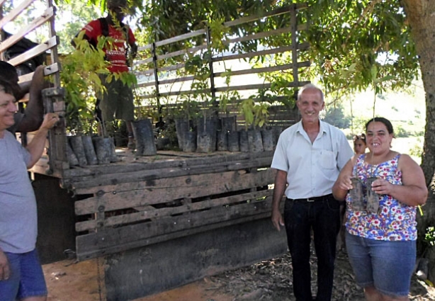 As mudas frutíferas estão sendo entregues aos produtores rurais de Leopoldina