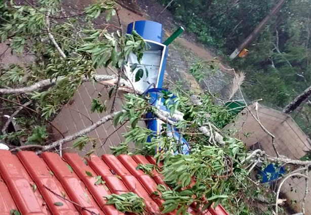 No Horto Florestal foram registrados os maiores estragos do temporal desta tarde