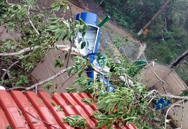 No Horto Florestal foram registrados os maiores estragos do temporal desta tarde