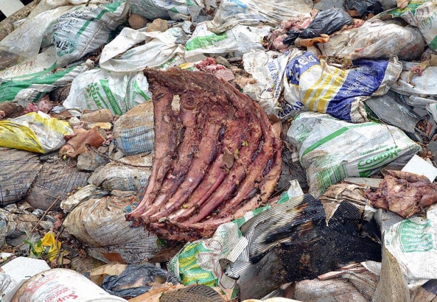 Ninguém sabe quem jogou a carne na margem do rio Pomba