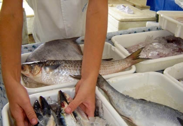 O consumidor deve ter cuidado redobrado na hora de comprar peixe nesta época do ano