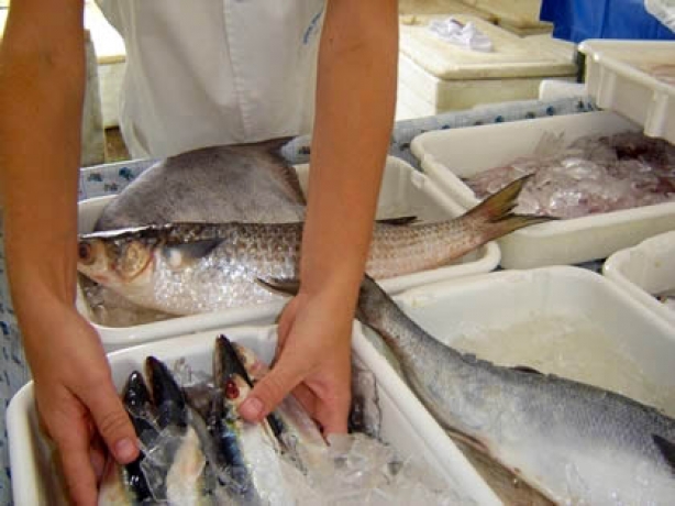 O consumidor deve ter cuidado redobrado na hora de comprar peixe nesta &eacute;poca do ano