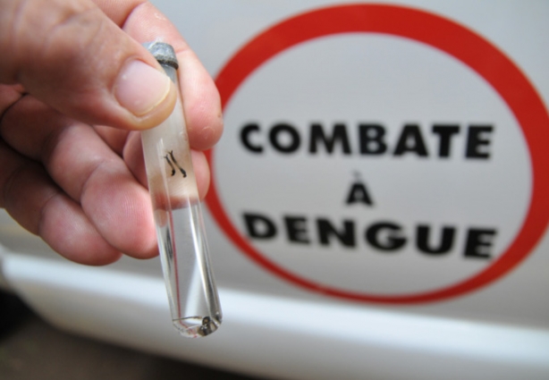 Cataguases prepara plano de contingência para enfrentar a dengue