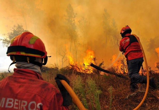 O incêndio é fruto, na maioria das vezes, pela ação descuidada e intencional do homem