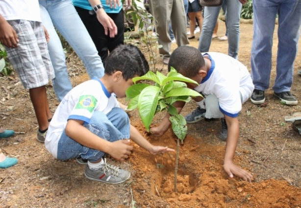 Estação Ecológica de Água Limpa vai abrir as comemorações da Semana Florestal