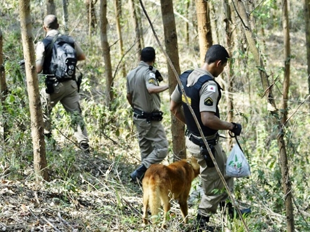 C&atilde;es farejadores e policiais embrenharam-se pelo mato em busca de Bolinha neste fim de semana