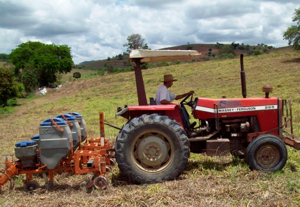 A utilização da técnica melhora a produção mesmo em época de seca, garante o produtor