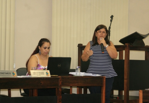 Neusa Martins, contadora do Legislativo Municipal, durante sua explicação contábil sobre os meses de novembro e dezembro de 2015