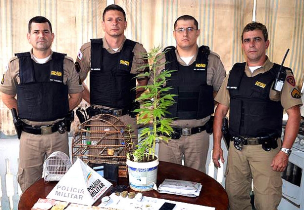 O vaso onde foram plantados quinze pés de maconha. A PM também recuperou outros objetos furtados no imóvel