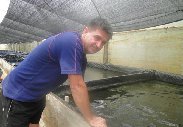 Ronaldo Vilela, da Patrocínio do Muriaé, é referência nacional em criação de qualidade de peixe ornamental da espécie Betta.