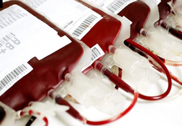Em função dos casos de febre amarela, novas regras para a doação de sangue passarão a ser adotadas