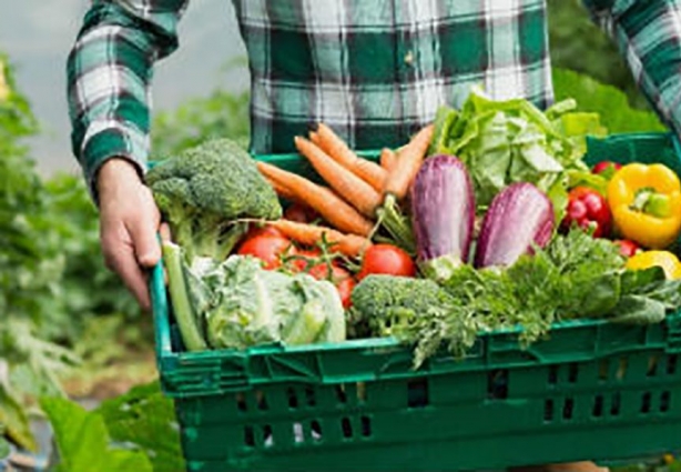 O objetivo é promover e incentivar o desenvolvimento da agroecologia e da produção orgânica na região