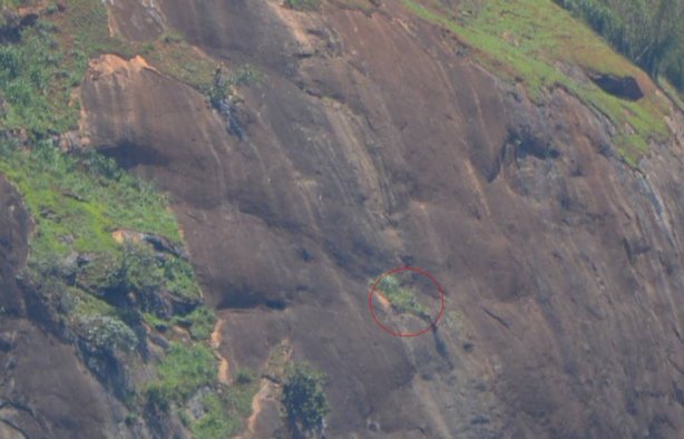 No c&iacute;rculo em vermelho o local exato onde o homem foi resgatado pelos Bombeiros