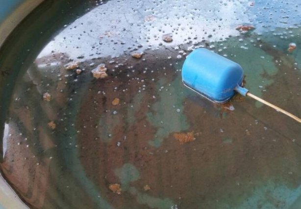 Moradores reclamam a cor amarelada da água e o forte cheiro de produtos químicos