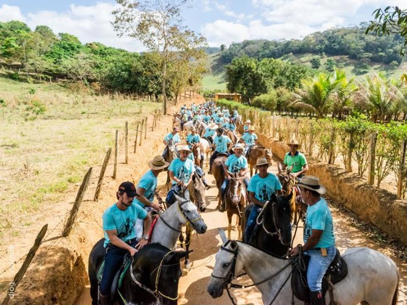 Cavalo – Marcelo Lopes de Lopes