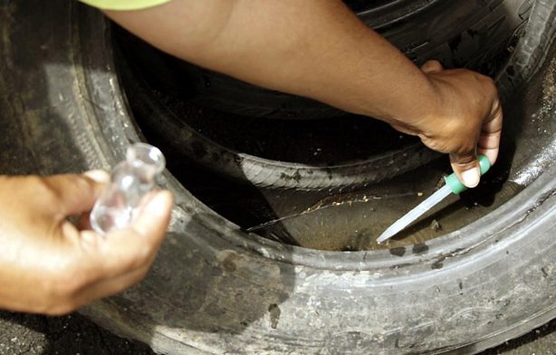 According to the property infringement indices of Cataguases, 2.82% were studied by mosquitoes According to the property infringement indices of Cataguases, 2.82% were studied by mosquitoes