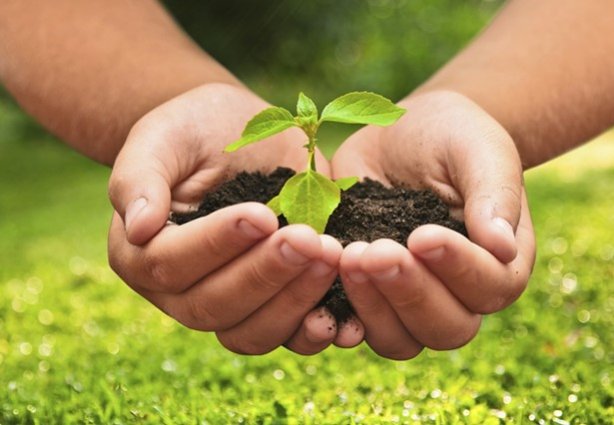 Preservação ambiental com inclusão social e diversidade agrícola são alguns dos objetivos da nova lei